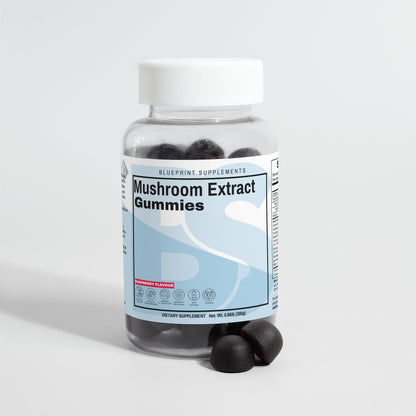 Mushroom Extract Complex Gummies